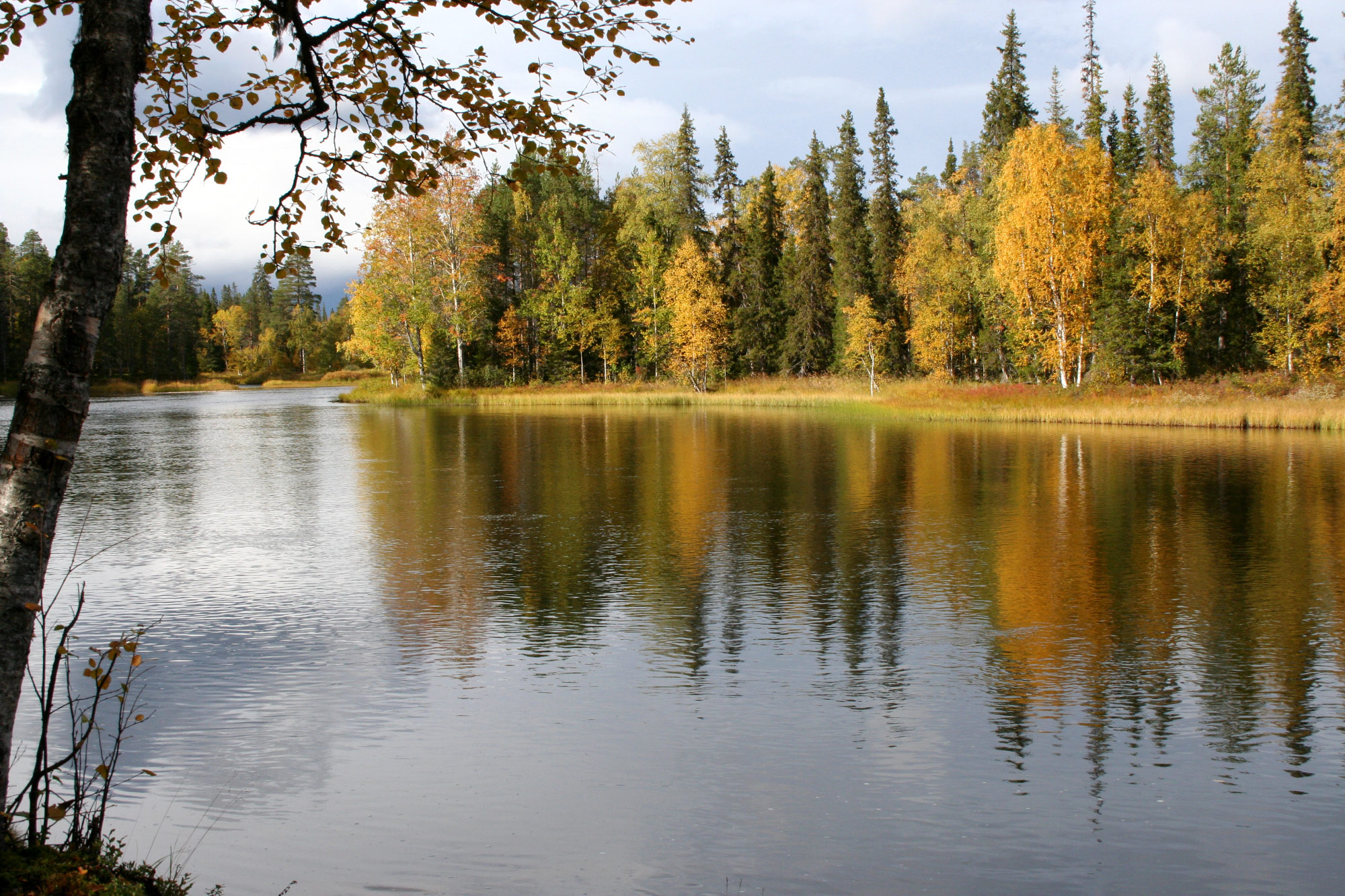 Kuusamo